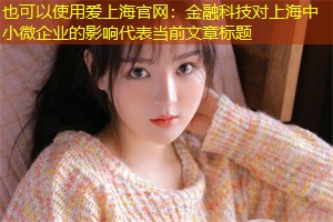 金融科技对上海中小微企业的影响